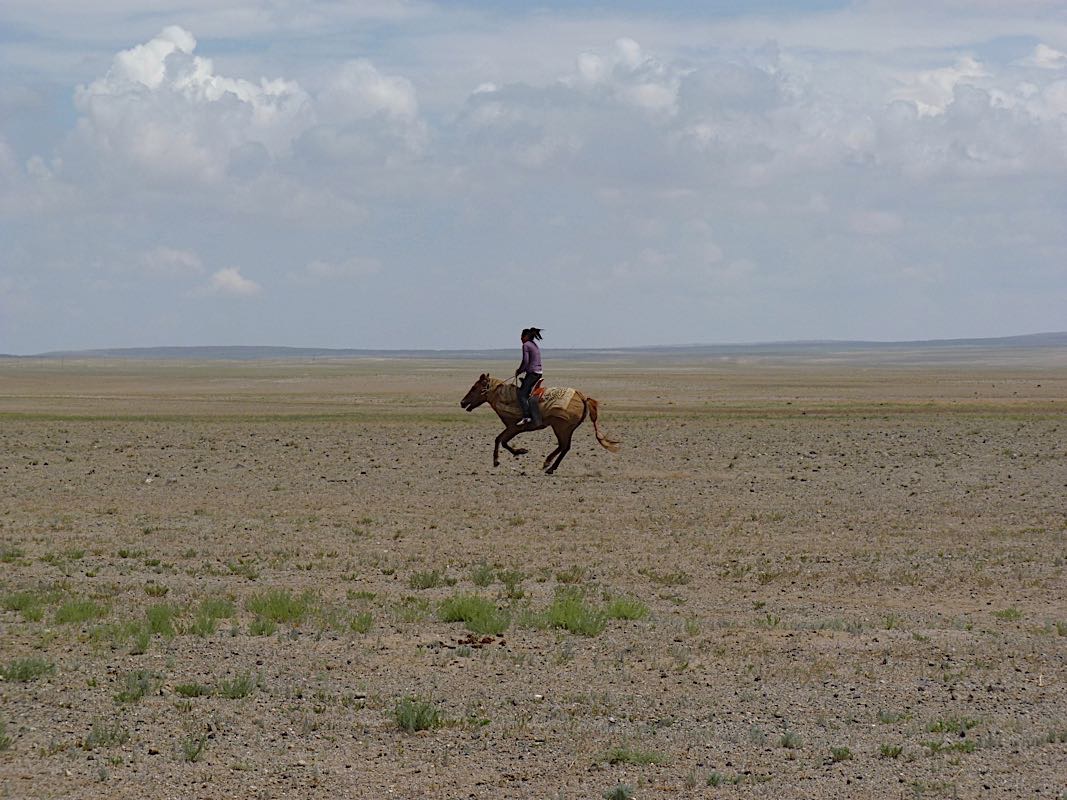 Galop dans les steppes mongoles, Désert de Gobi, Mongolie